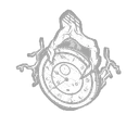 Turn Back the Clock
